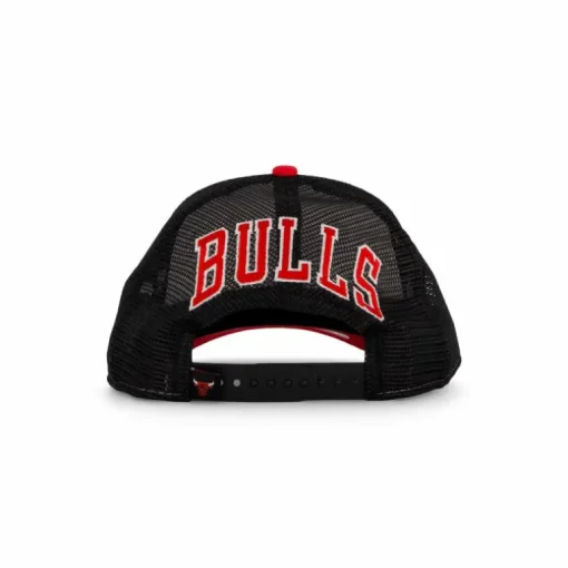 Team Colour Blck Trucker Bulls Whifdr