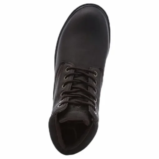 Tennesee 2 Brown