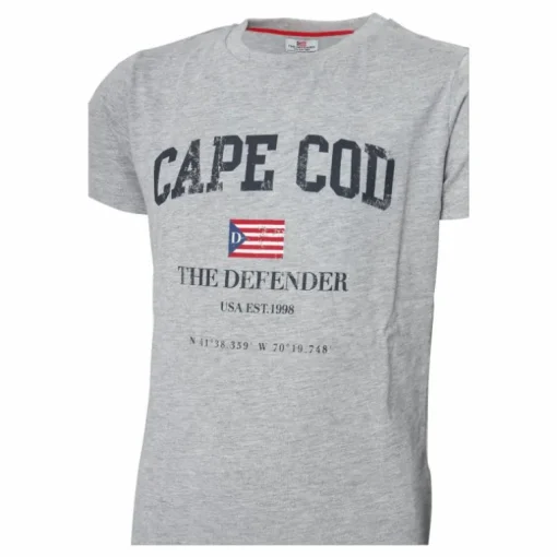 The Defender Alvin Jr Tee Grey Melange