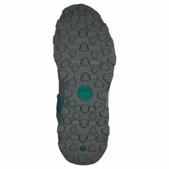 Trail Trekker Low Gtx Elephant Skin