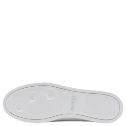 Trophy Canvas Blue