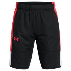 Ua Baseline Short Black