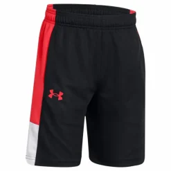 Ua Baseline Short Black