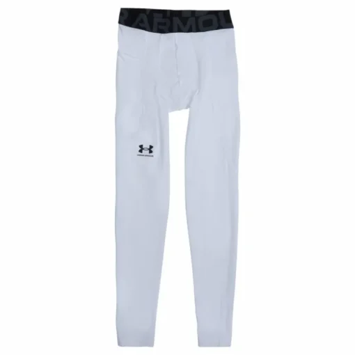 UA HG Armour Leggings