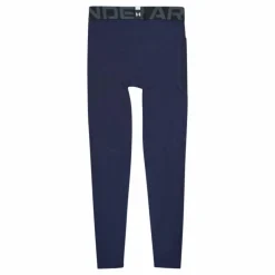 UA HG Armour Leggings