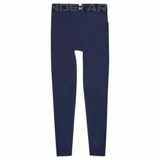 UA HG Armour Leggings