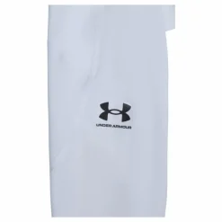 UA HG Armour Leggings
