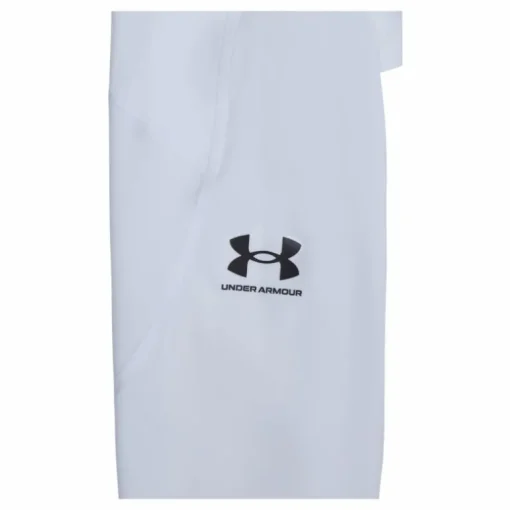 UA HG Armour Leggings