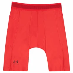 UA HG IsoChill Long Shorts