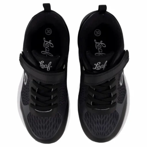 Vena Black