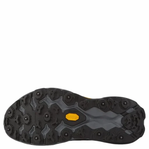 W Speedgoat 5 Gtx Ice Black / Black