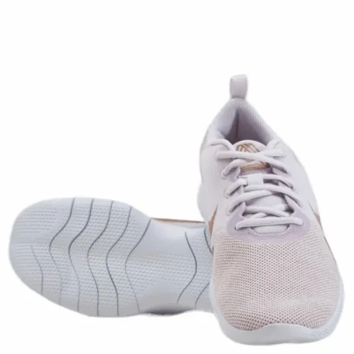 Wmns Flex Experience Run 10 Champagne/mtlc Red Bronze-ligh