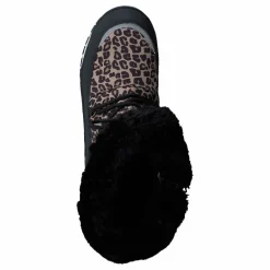 Ysby Leopard