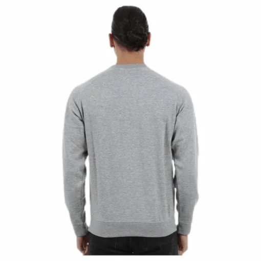 Zyllins Grey