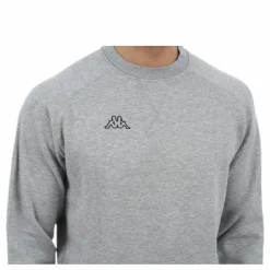 Zyllins Grey
